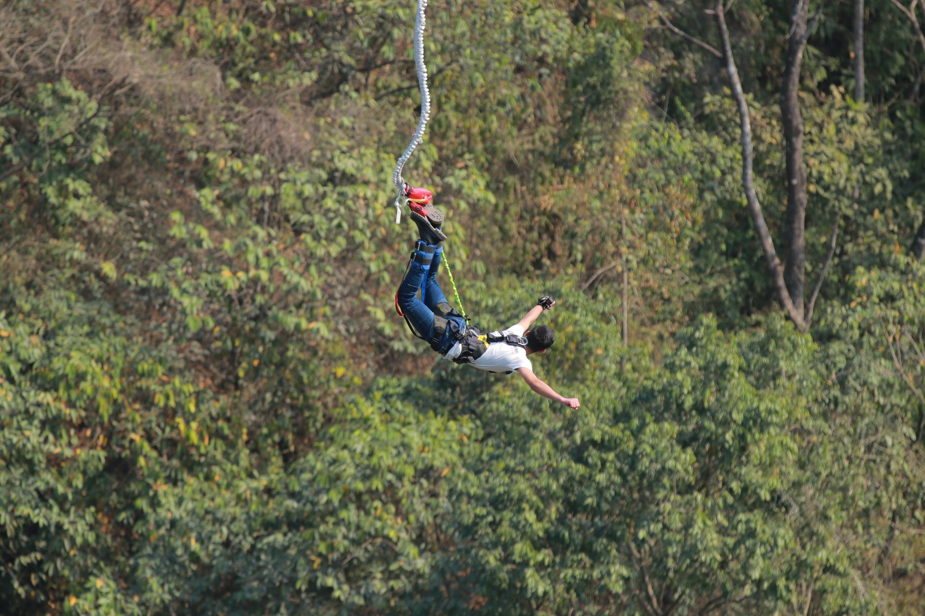 thrilling bungee jumper above lush forest landscape